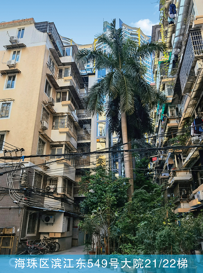 海珠区滨江东549号大院21、22梯